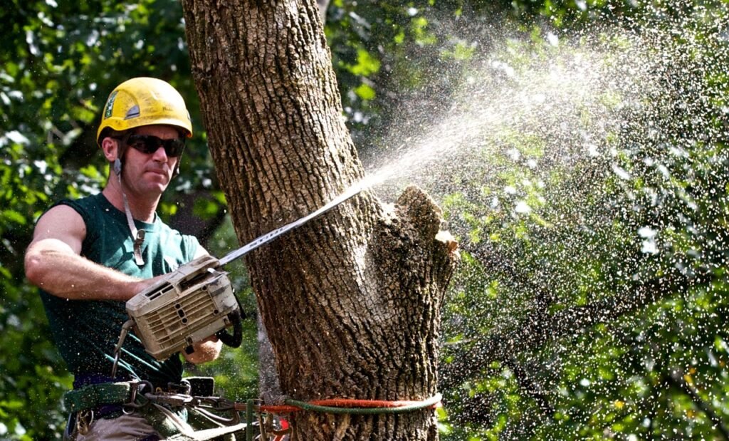 lexington ky tree removal